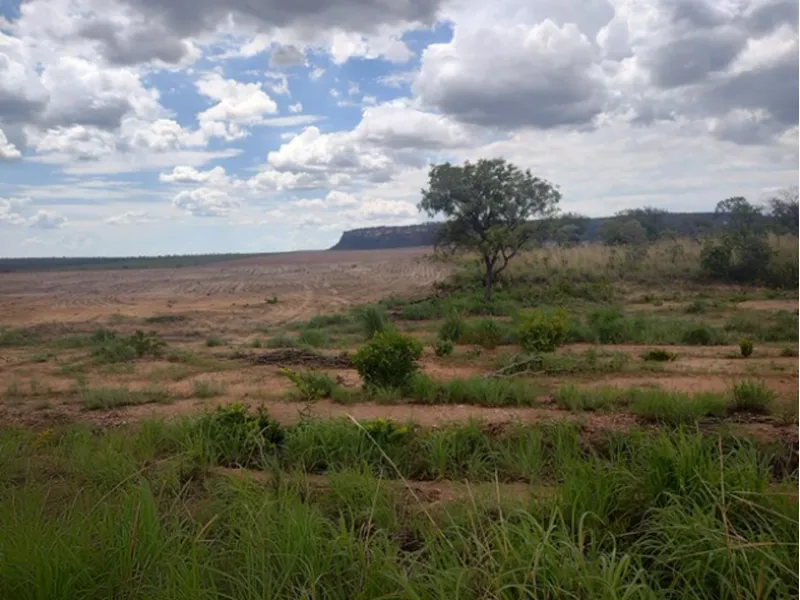 Imóvel rural em leilão