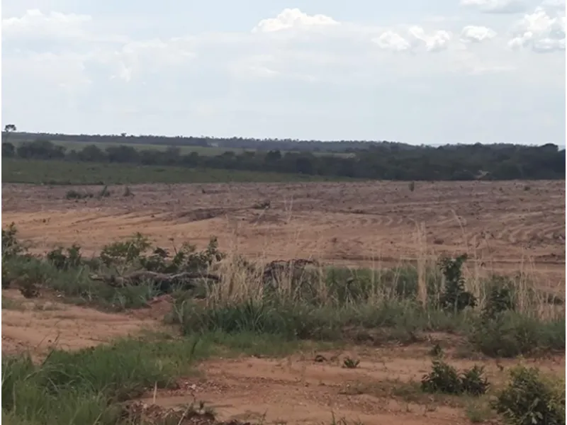 Imóvel rural em leilão