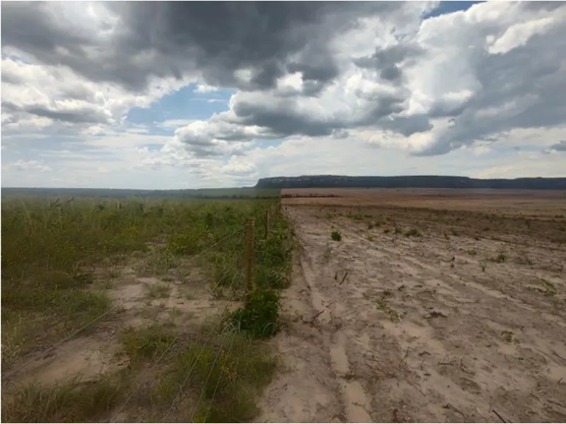 Imóvel rural em Leilão Judicial