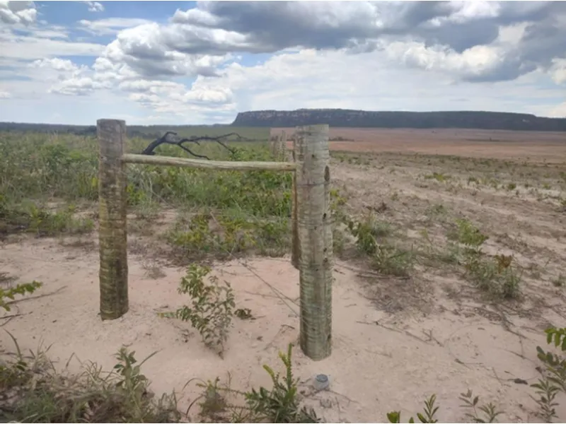 Imóvel rural em leilão