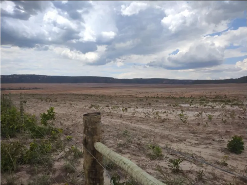 Imóvel rural em leilão