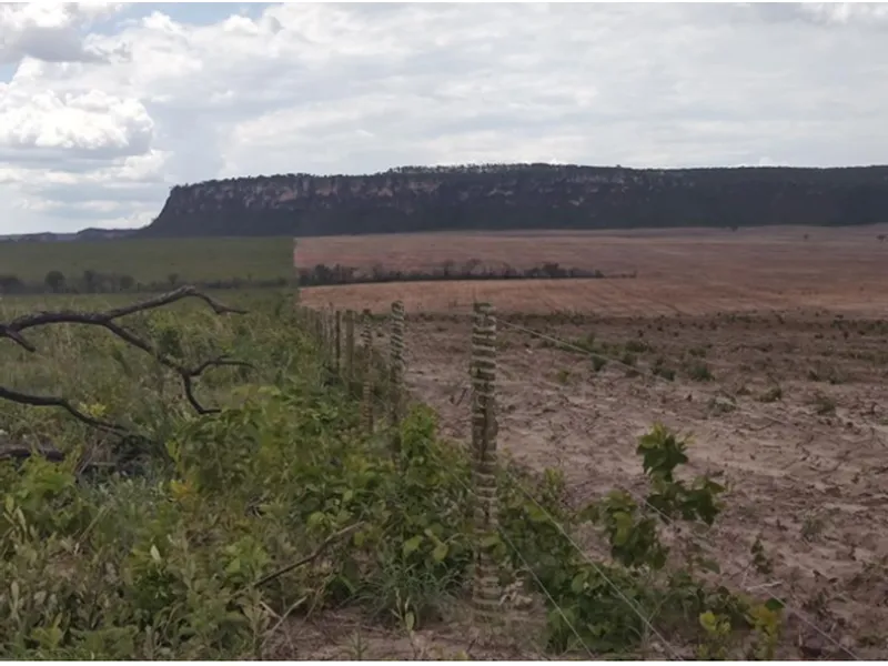 Imóvel rural em leilão