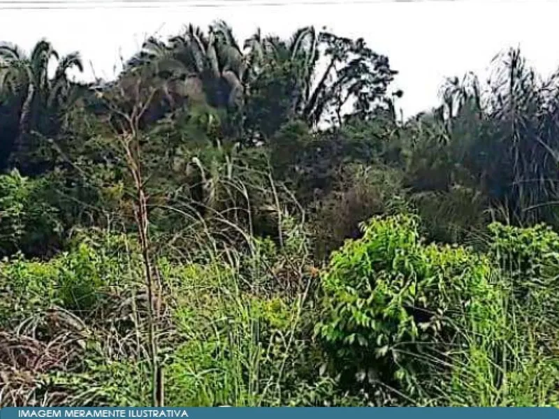 Outros em Leilão Judicial