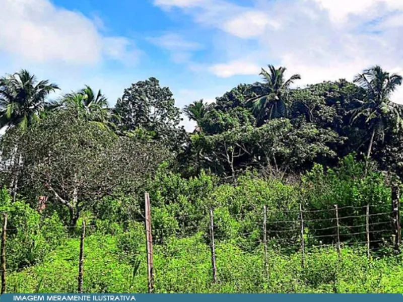 Outros em Leilão Judicial