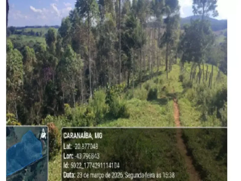 Imóvel rural em leilão