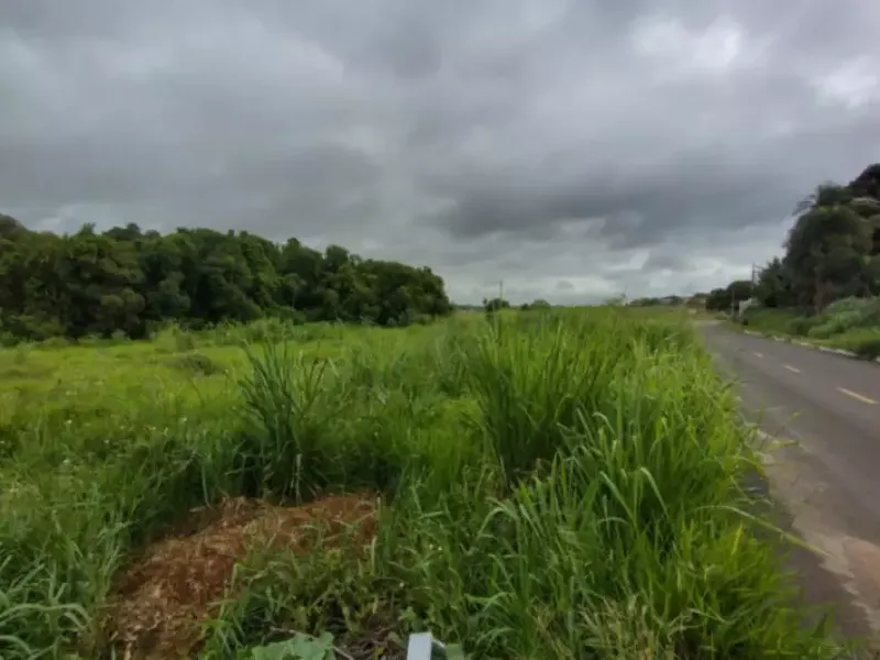 Imóvel rural em leilão