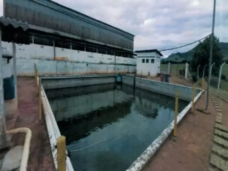 Comercial em leilão