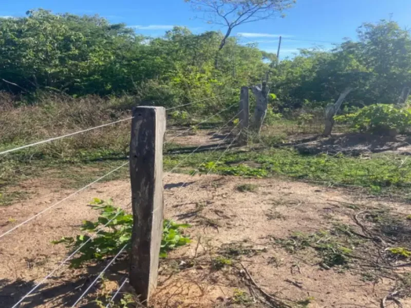 Imóvel rural em leilão