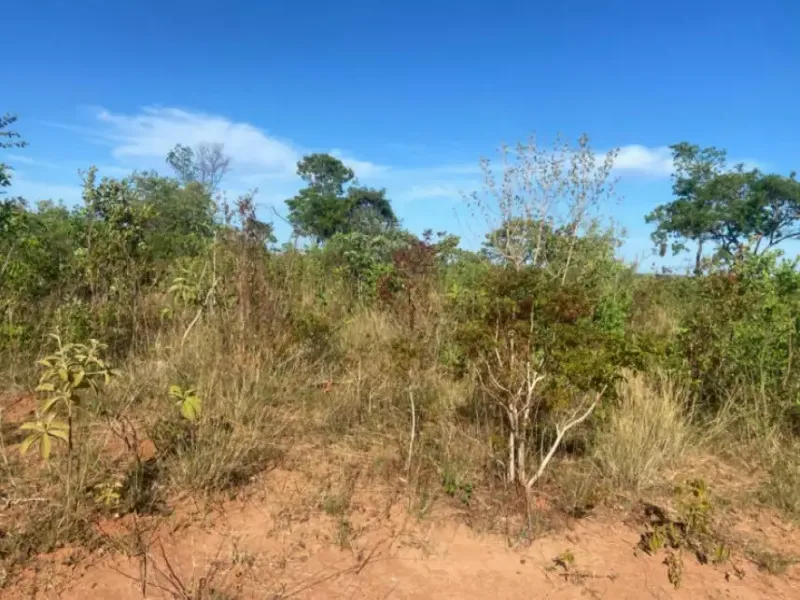 Imóvel rural em leilão