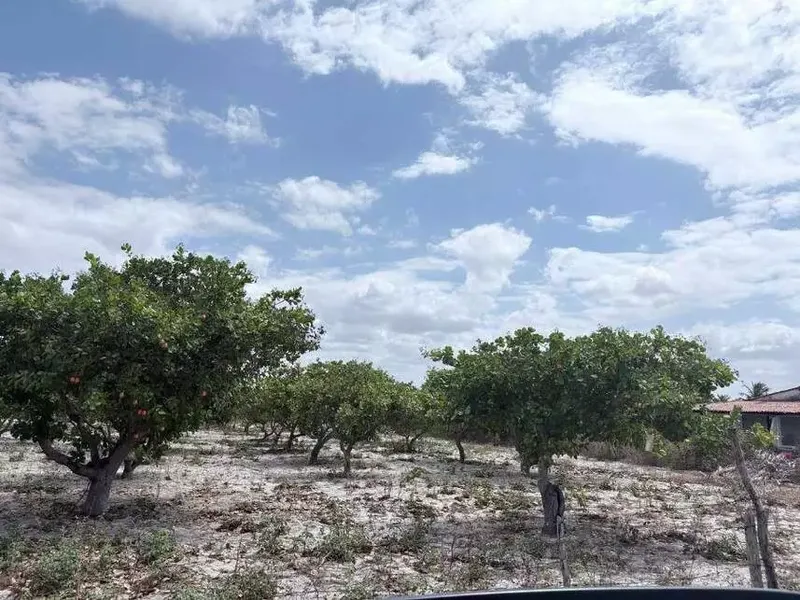 Terreno em Leilão Extrajudicial