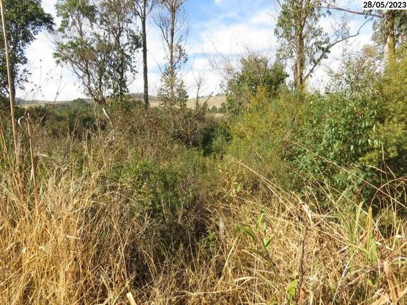 Imóvel rural em leilão