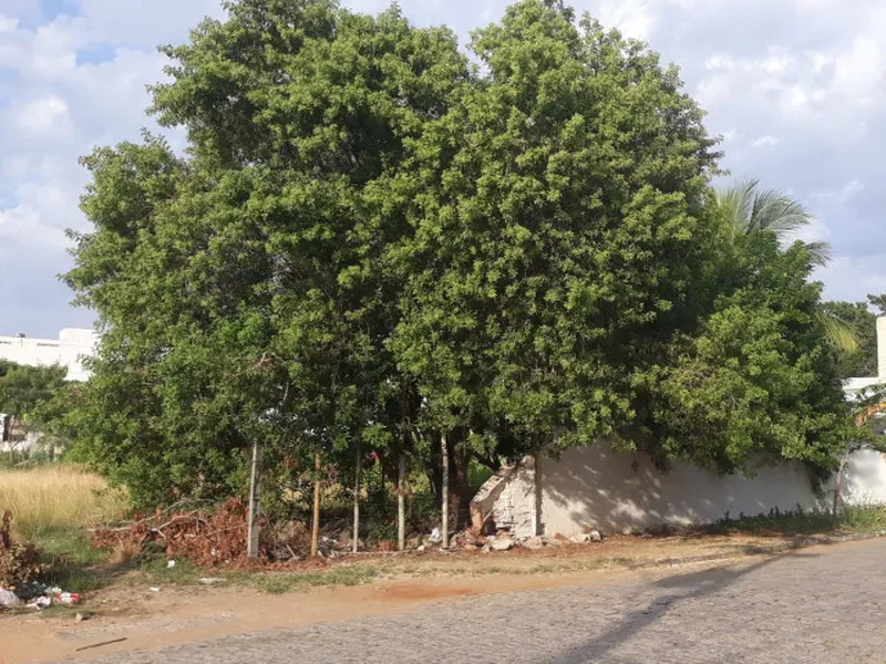 Terreno em leilão