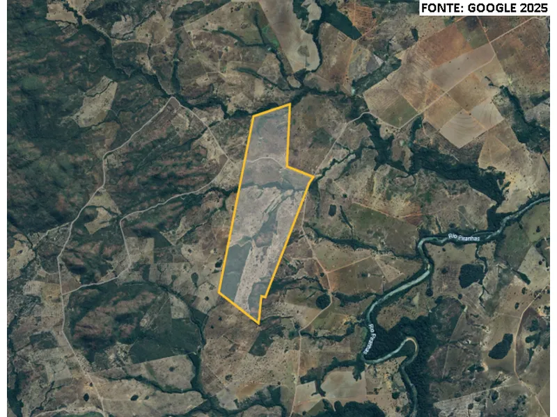 Imóvel rural em leilão