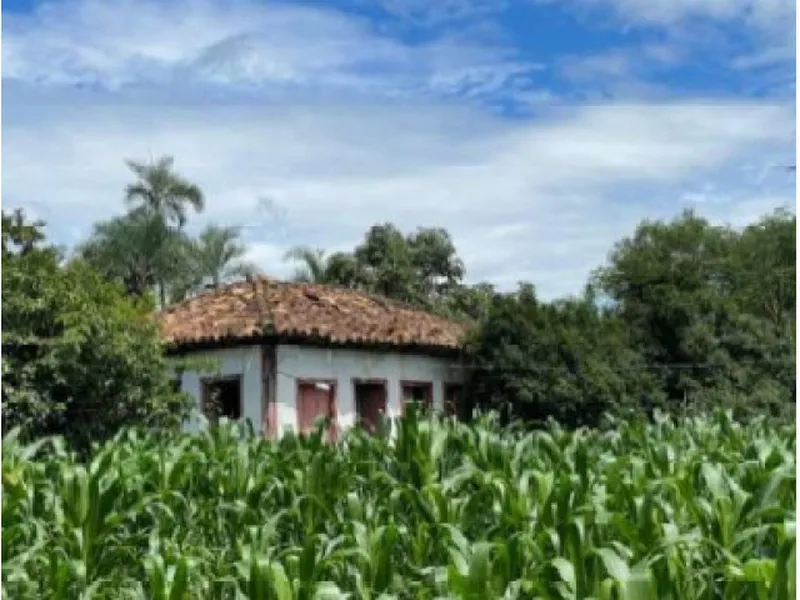 Imóvel rural em leilão