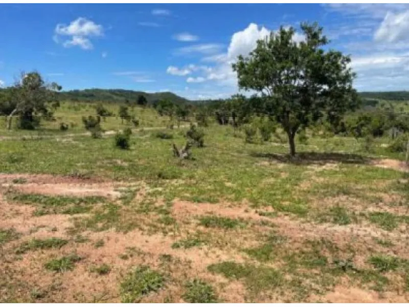 Imóvel rural em leilão
