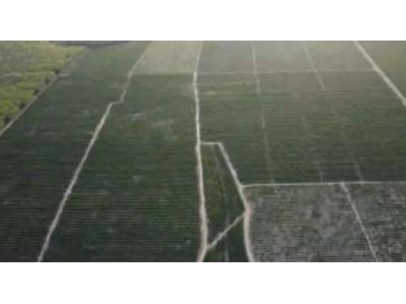 Imóvel rural em leilão