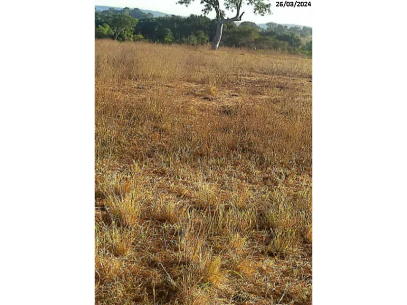 Imóvel rural em Leilão Judicial