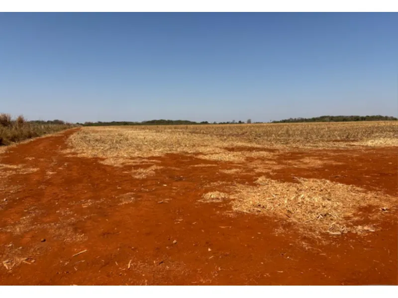 Imóvel rural em leilão