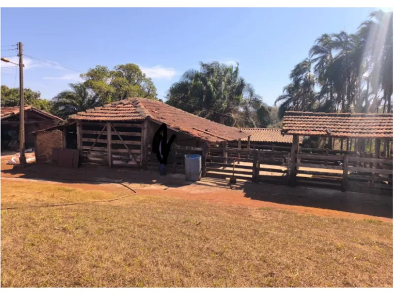 Imóvel rural em leilão