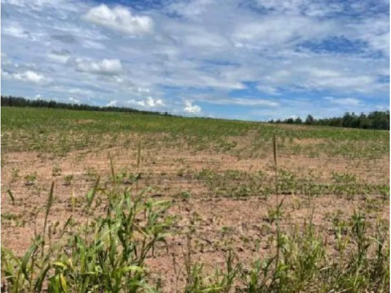 Imóvel rural em Leilão Judicial