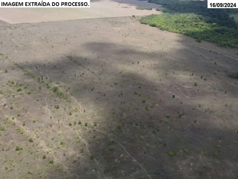 Imóvel rural em Leilão Judicial
