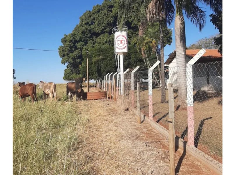 Imóvel rural em Leilão Judicial
