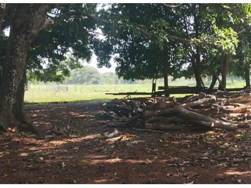 Imóvel rural em leilão