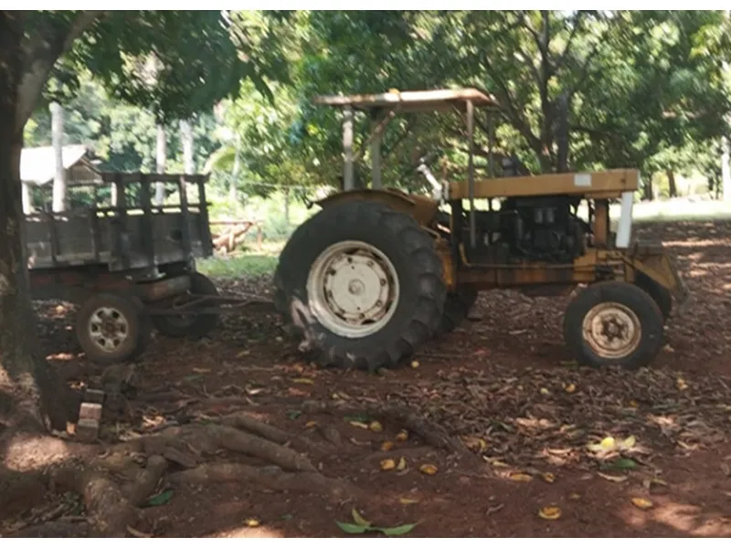 Imóvel rural em leilão