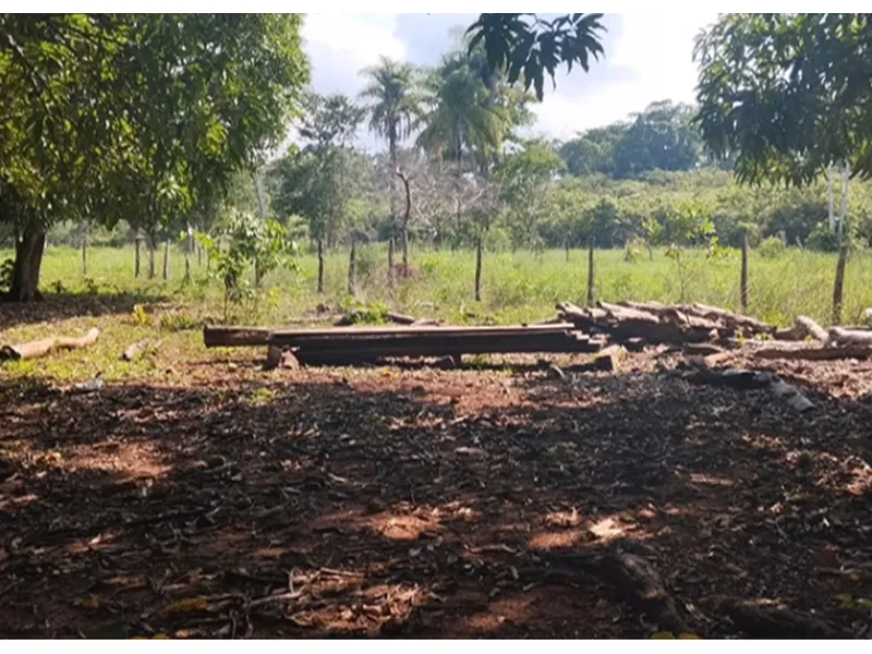Imóvel rural em leilão