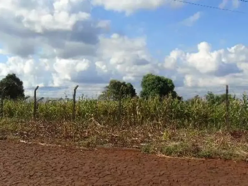 Terreno em leilão