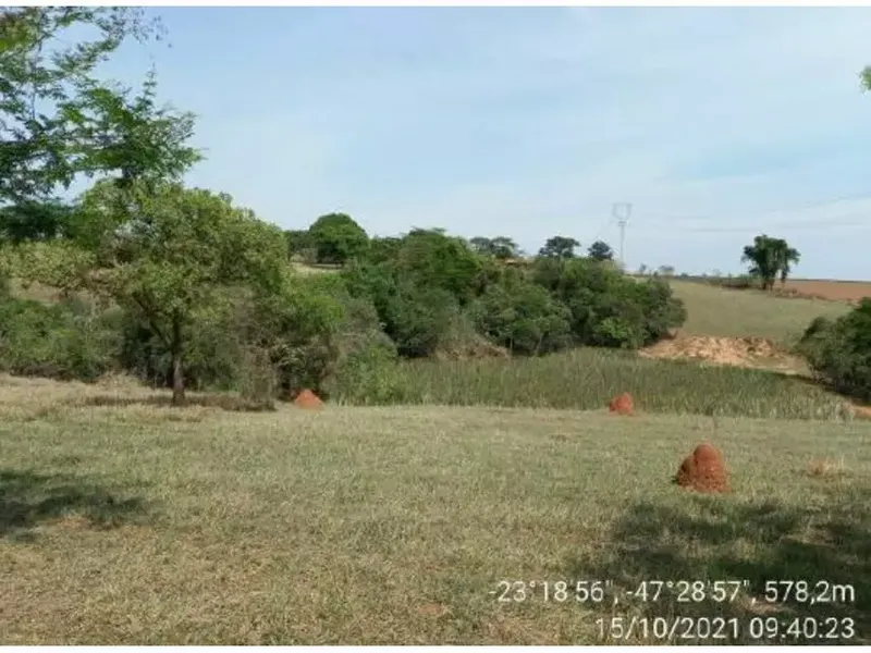 Imóvel rural em leilão