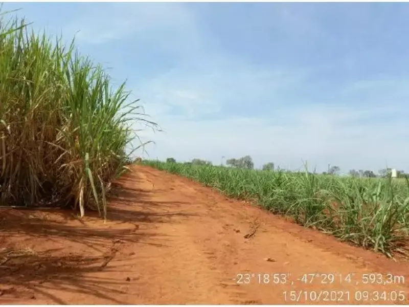 Imóvel rural em leilão