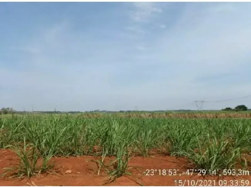 Imóvel rural em leilão
