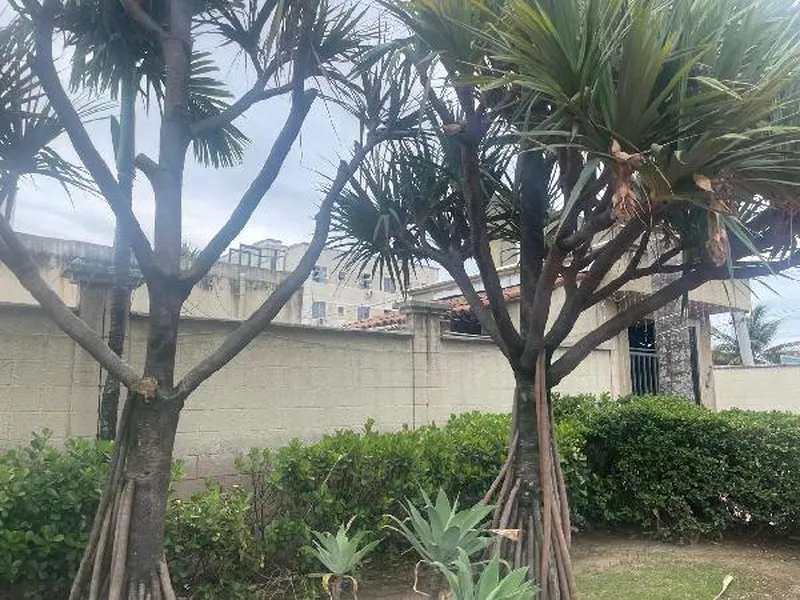 Apartamento em Licitação
