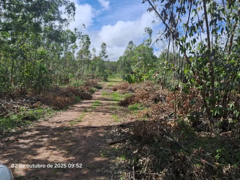 Terreno em leilão