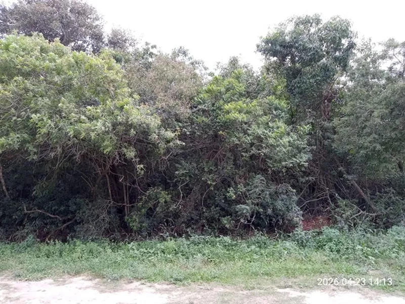 Terreno em Leilão Judicial