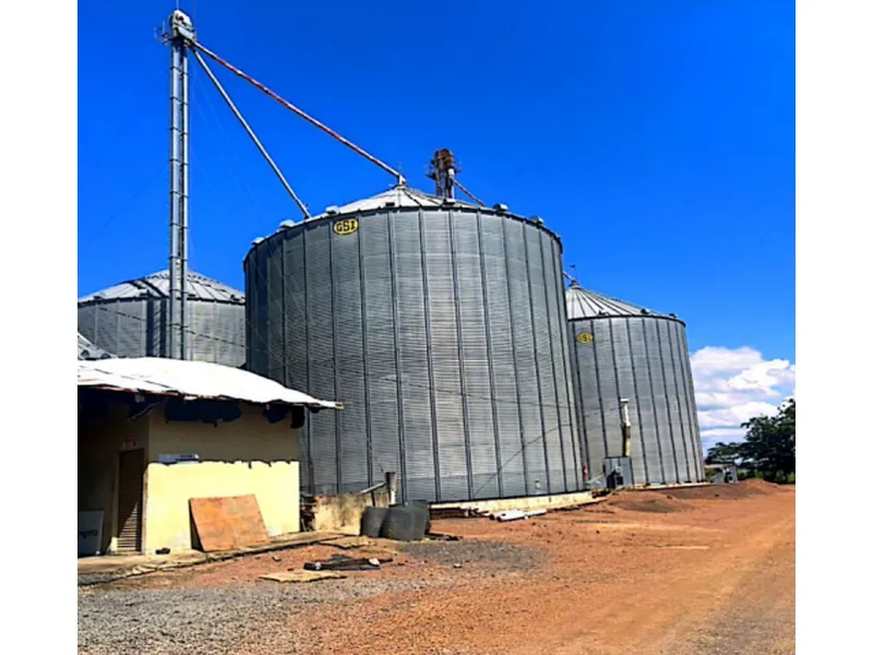 Imóvel rural em leilão