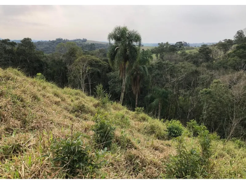 Imóvel rural em Leilão Judicial