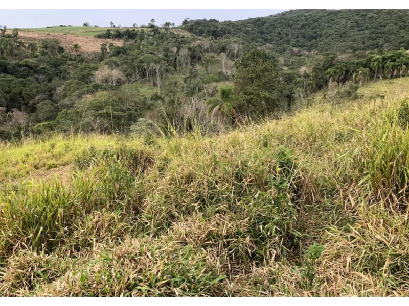 Imóvel rural em Leilão Judicial