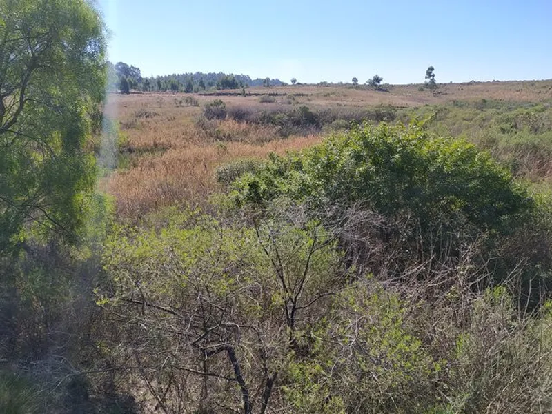 Terreno em leilão