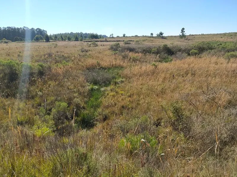 Terreno em leilão