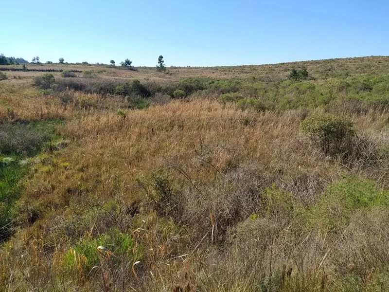 Terreno em leilão