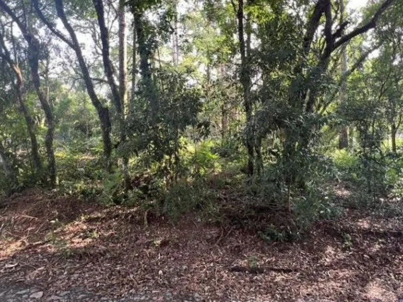 Terreno em Leilão Extrajudicial