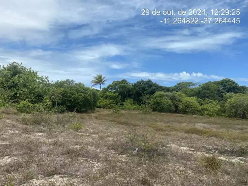 Terreno em leilão