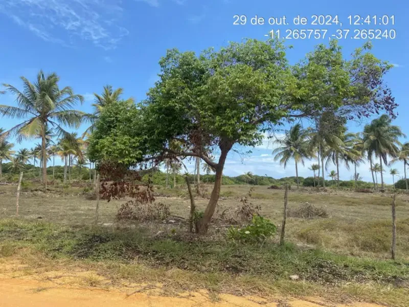 Terreno em leilão