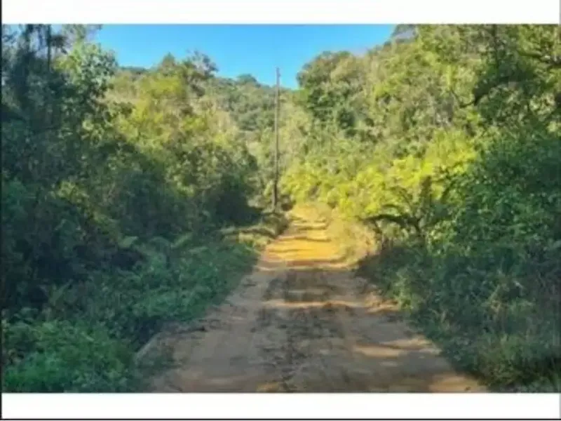 Terreno em leilão