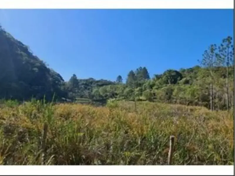 Terreno em leilão