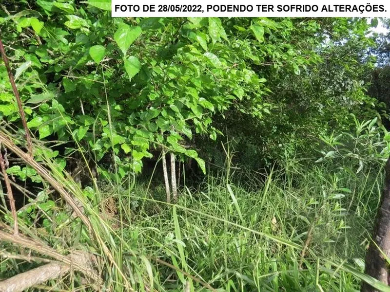Imóvel rural em leilão