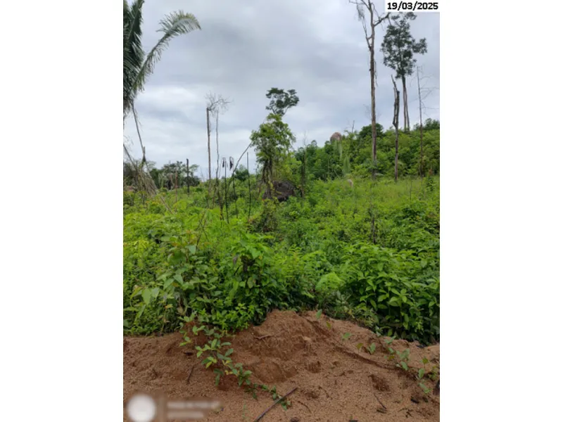 Imóvel rural em Venda Direta