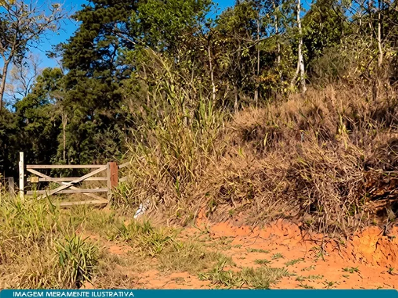 Imóvel rural em Leilão Judicial